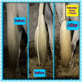 Natural Loop Fake Tails. Real Horse Hair. Free Cover Bag. Free Bridle Charm, and Loop Charm.