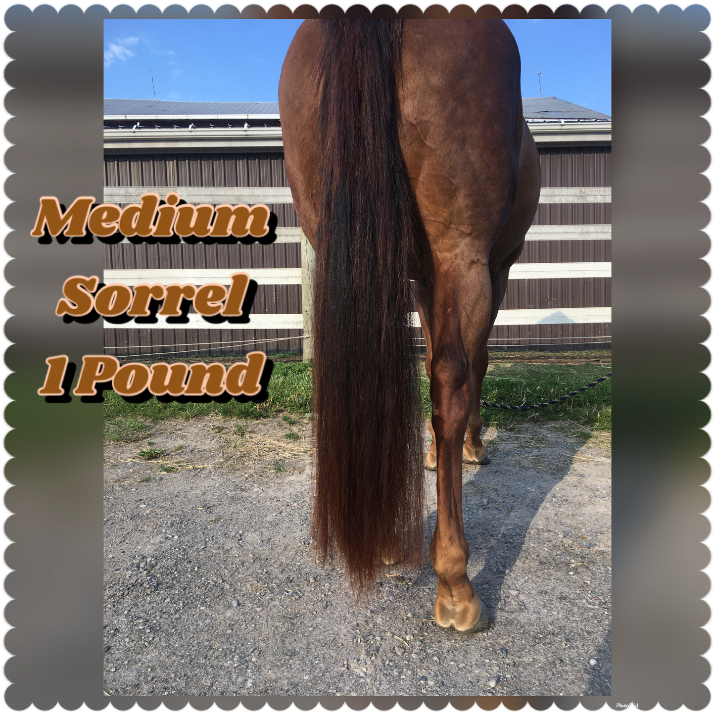 NATURAL LOOP FAKE TAILS. Real Horse Hair. Free Cover Bag, Pom Pom, Bridle Charm, Loop Charm. $99.99 - $550