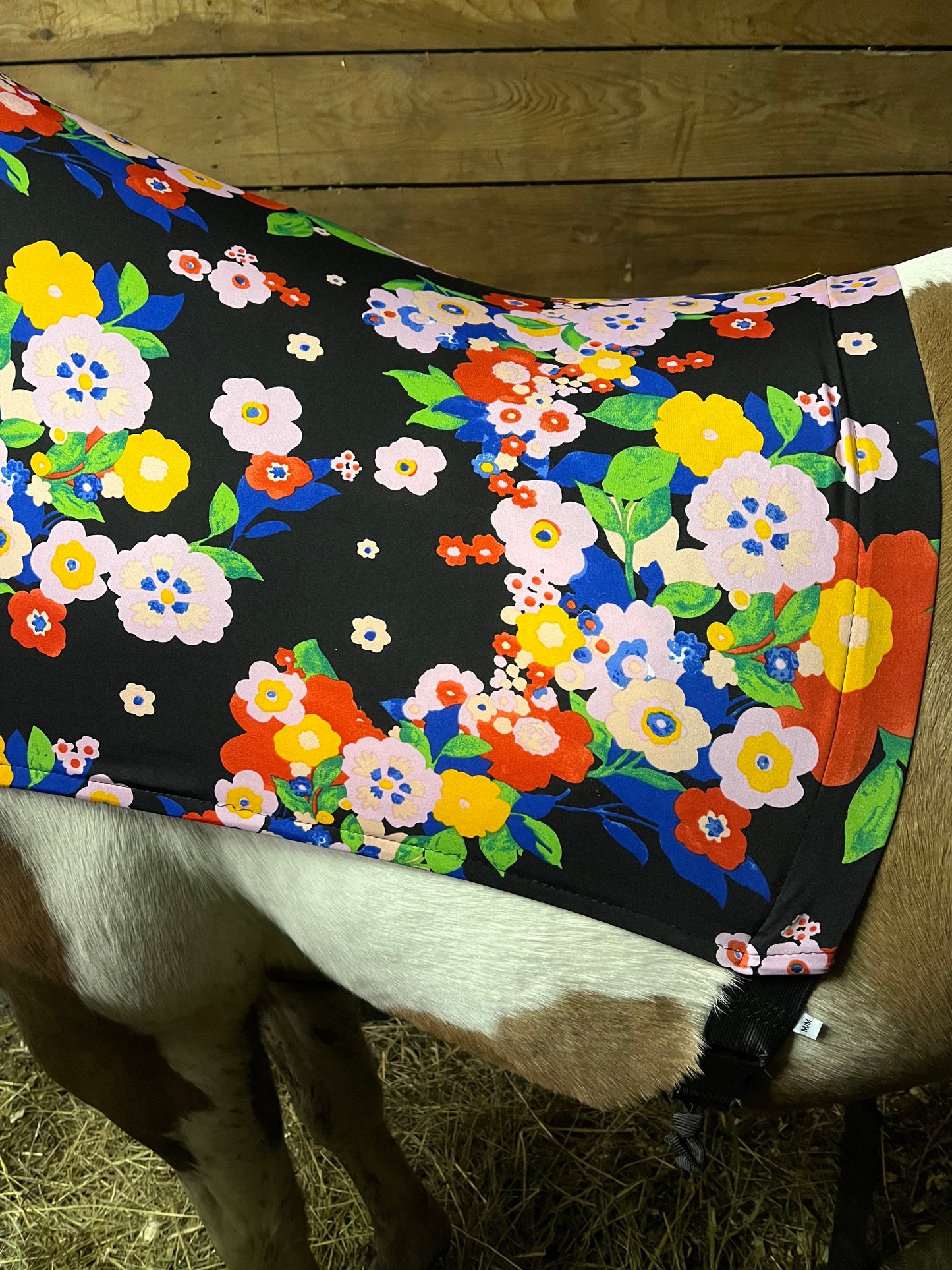MEDIUM PONY SLINKY/SMALL-SIZED LARGE PONY. FREE CHARM