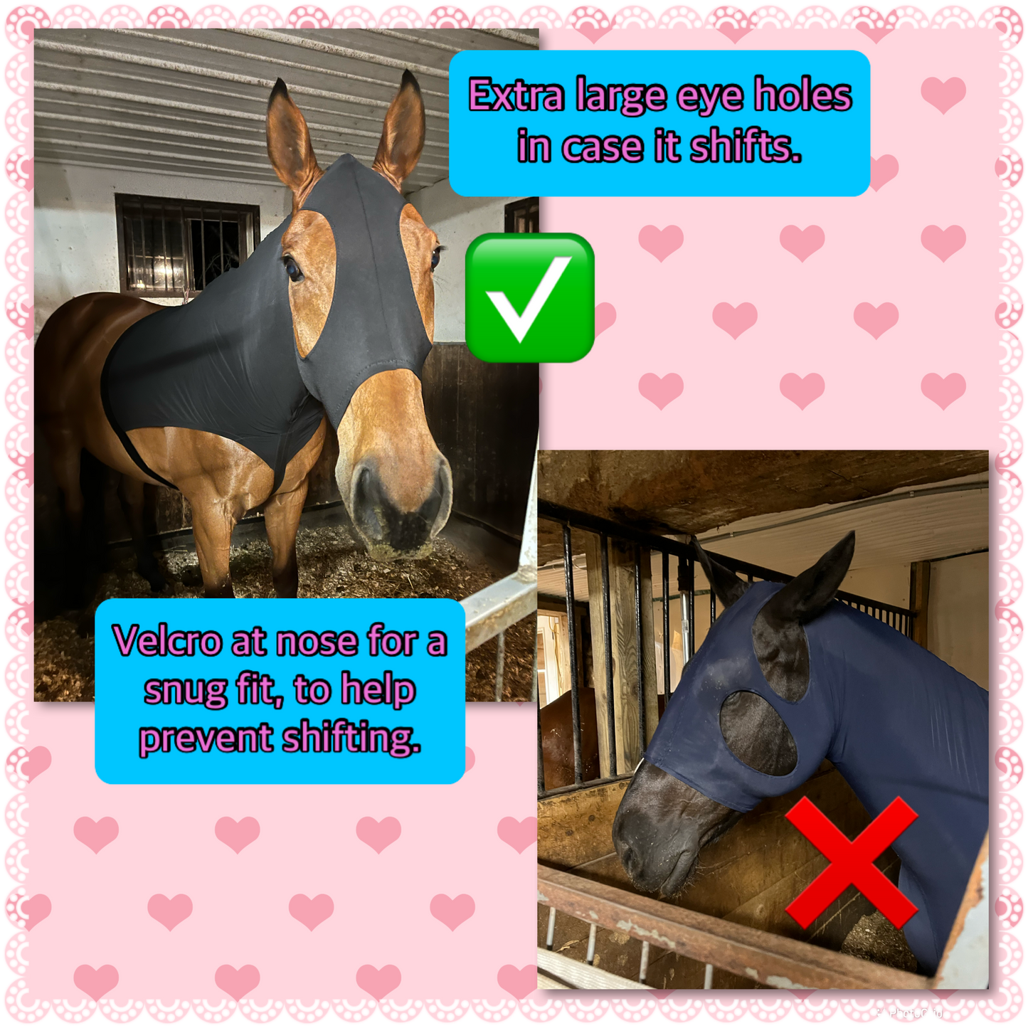 WARMBLOOD/DRAFT CROSS SLINKY. FREE CHARM