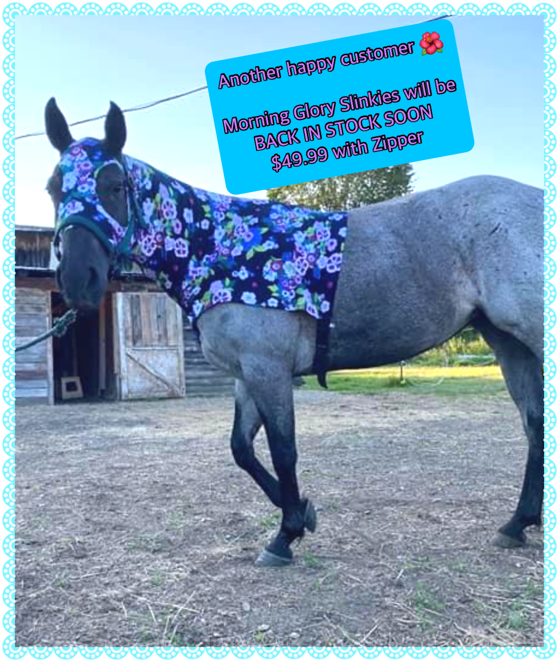 LARGE PONY/SMALL HORSE SLINKY. FREE CHARM