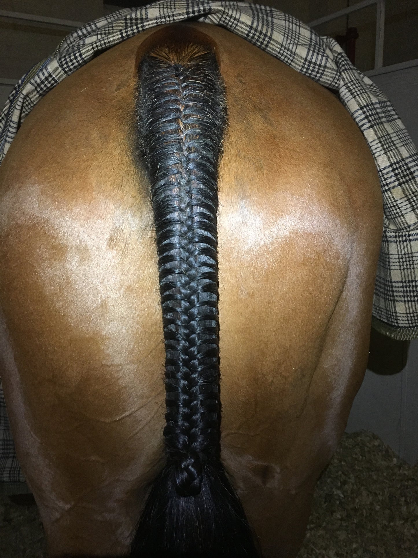 BRAIDING* Tutorials posted on the Facebook page: Katie’s Horse Care Supply (old), and Katie’s Horse Care Supply 2.0 (new). Instagram: Katie’s Horse Care Supply