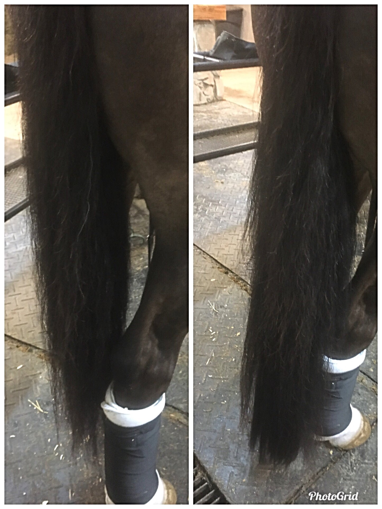 KNOB TOP Fake Tails 1 Pound. Real Horse Hair. Free Cover Bag, Pom Pom, Free Bridle Charm, Loop Charm. $180