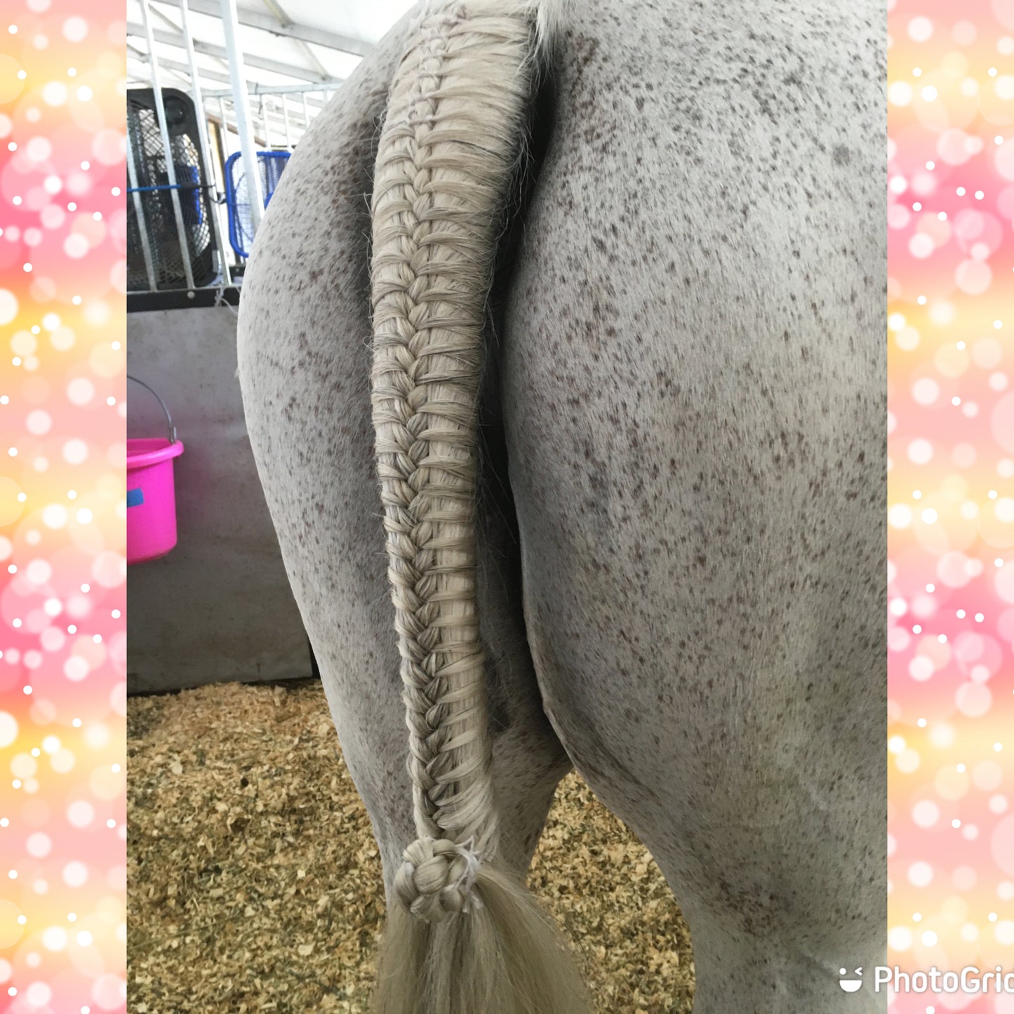 BRAIDING* Tutorials posted on the Facebook page: Katie’s Horse Care Supply (old), and Katie’s Horse Care Supply 2.0 (new). Instagram: Katie’s Horse Care Supply