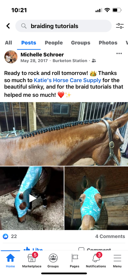 WARMBLOOD/DRAFT CROSS SLINKY. FREE CHARM