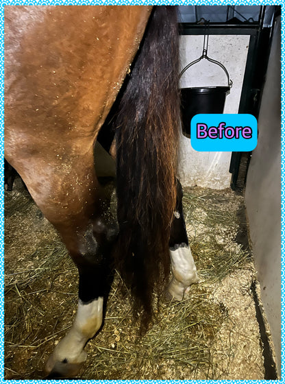 NATURAL LOOP FAKE TAILS. Real Horse Hair. Free Cover Bag, Pom Pom, Bridle Charm, Loop Charm. $99.99 - $550