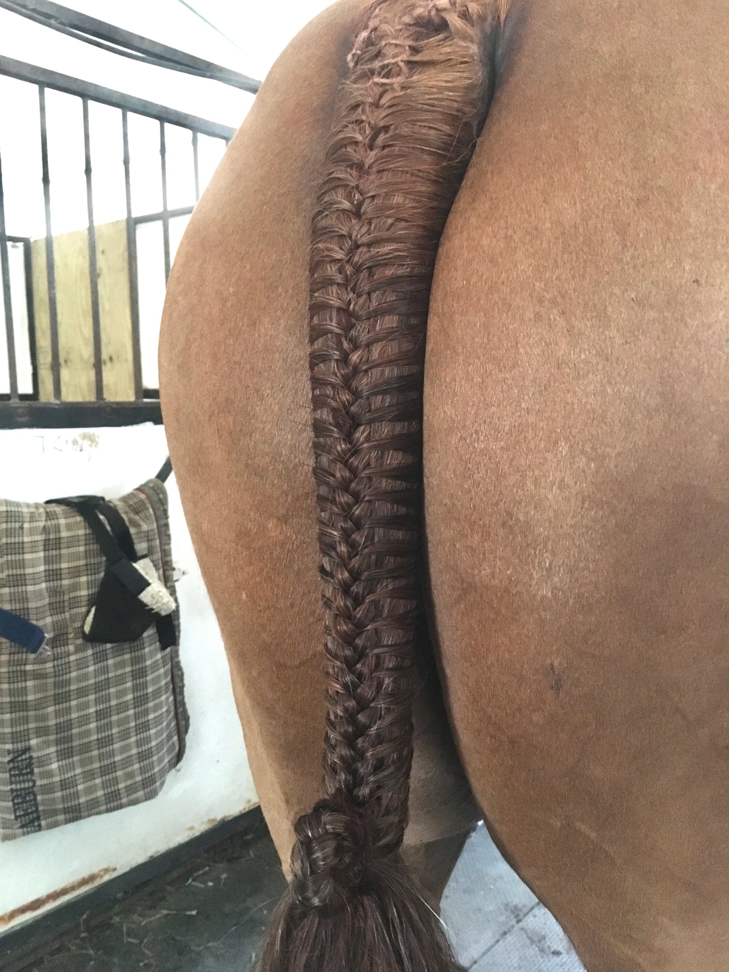 BRAIDING* Tutorials posted on the Facebook page: Katie’s Horse Care Supply (old), and Katie’s Horse Care Supply 2.0 (new). Instagram: Katie’s Horse Care Supply