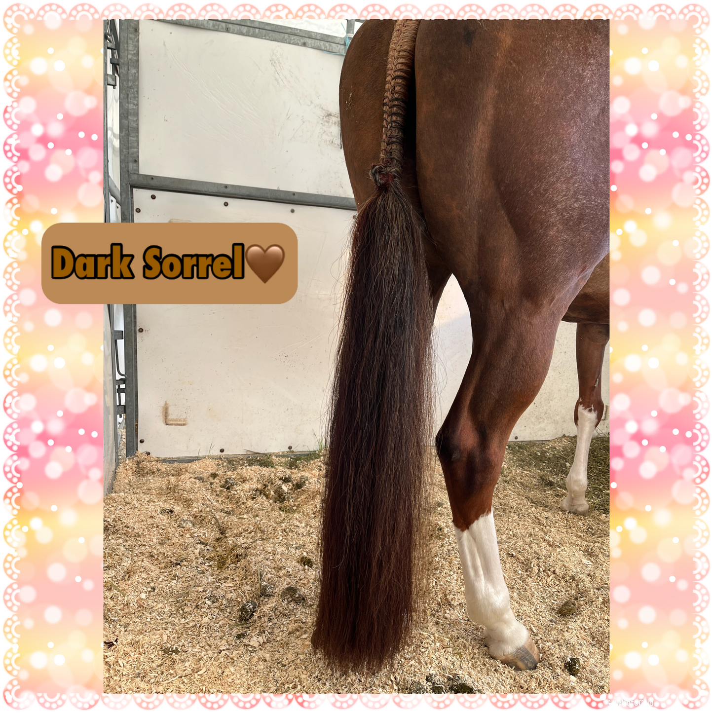 KNOB TOP Fake Tails 1 Pound. Real Horse Hair. Free Cover Bag, Pom Pom, Free Bridle Charm, Loop Charm. $180