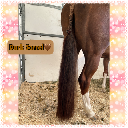 KNOB TOP Fake Tails 1 Pound. Real Horse Hair. Free Cover Bag, Pom Pom, Free Bridle Charm, Loop Charm. $180