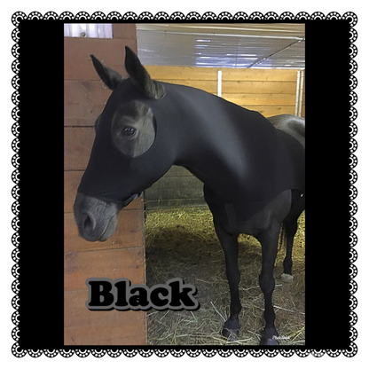WARMBLOOD/DRAFT CROSS SLINKY. FREE CHARM