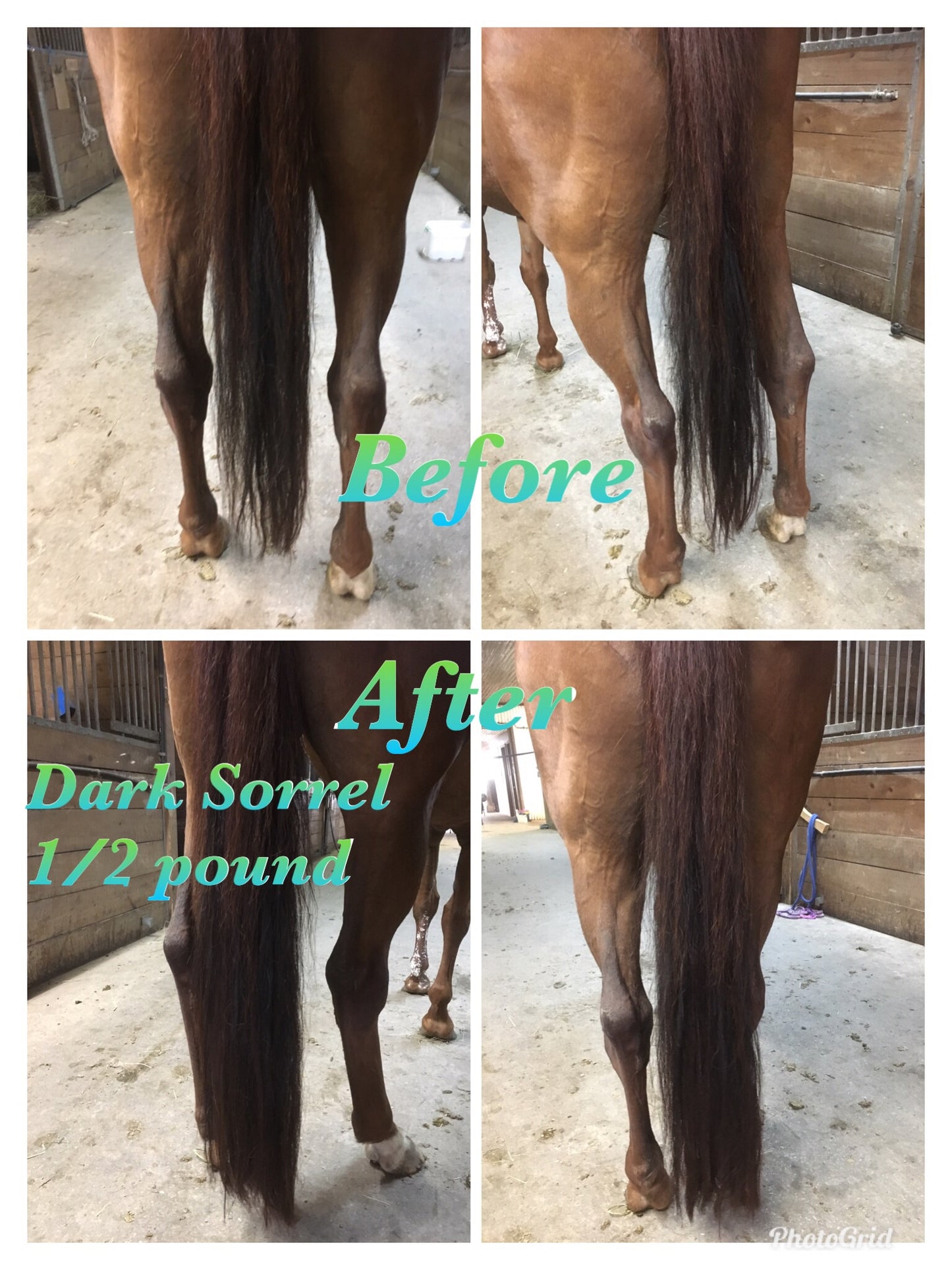 KNOB TOP Fake Tails 1/2 Pound. Real Horse Hair. Free Cover Bag, Pom Pom, Bridle Charm, Loop Charm. $99.99 - $125