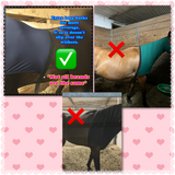 Medium Pony Slinky/Small Large Pony