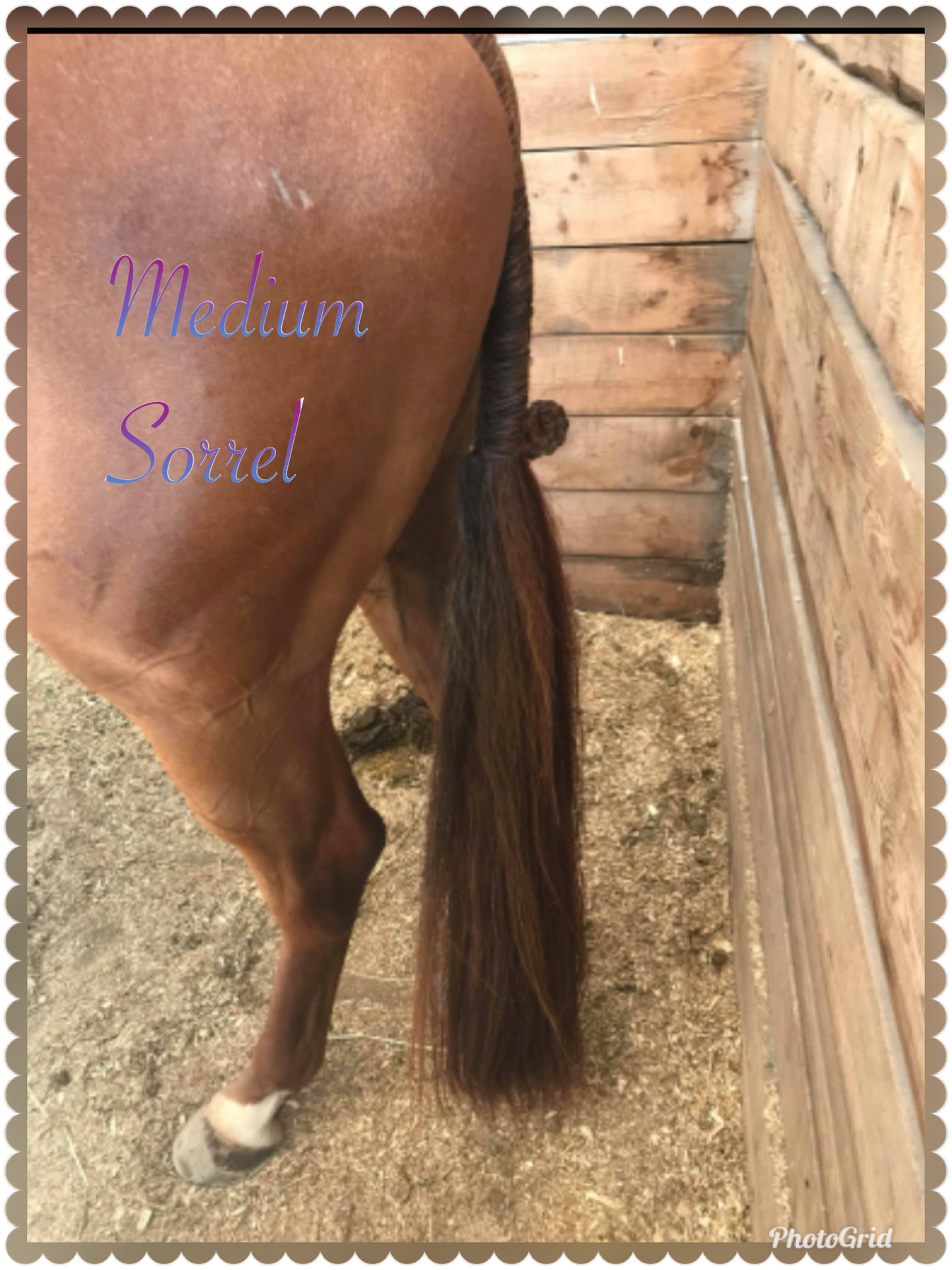 KNOB TOP Fake Tails 1 Pound. Real Horse Hair. Free Cover Bag, Pom Pom, Free Bridle Charm, Loop Charm. $180