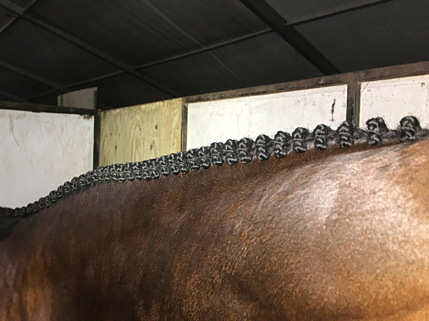 BRAIDING* Tutorials posted on the Facebook page: Katie’s Horse Care Supply (old), and Katie’s Horse Care Supply 2.0 (new). Instagram: Katie’s Horse Care Supply