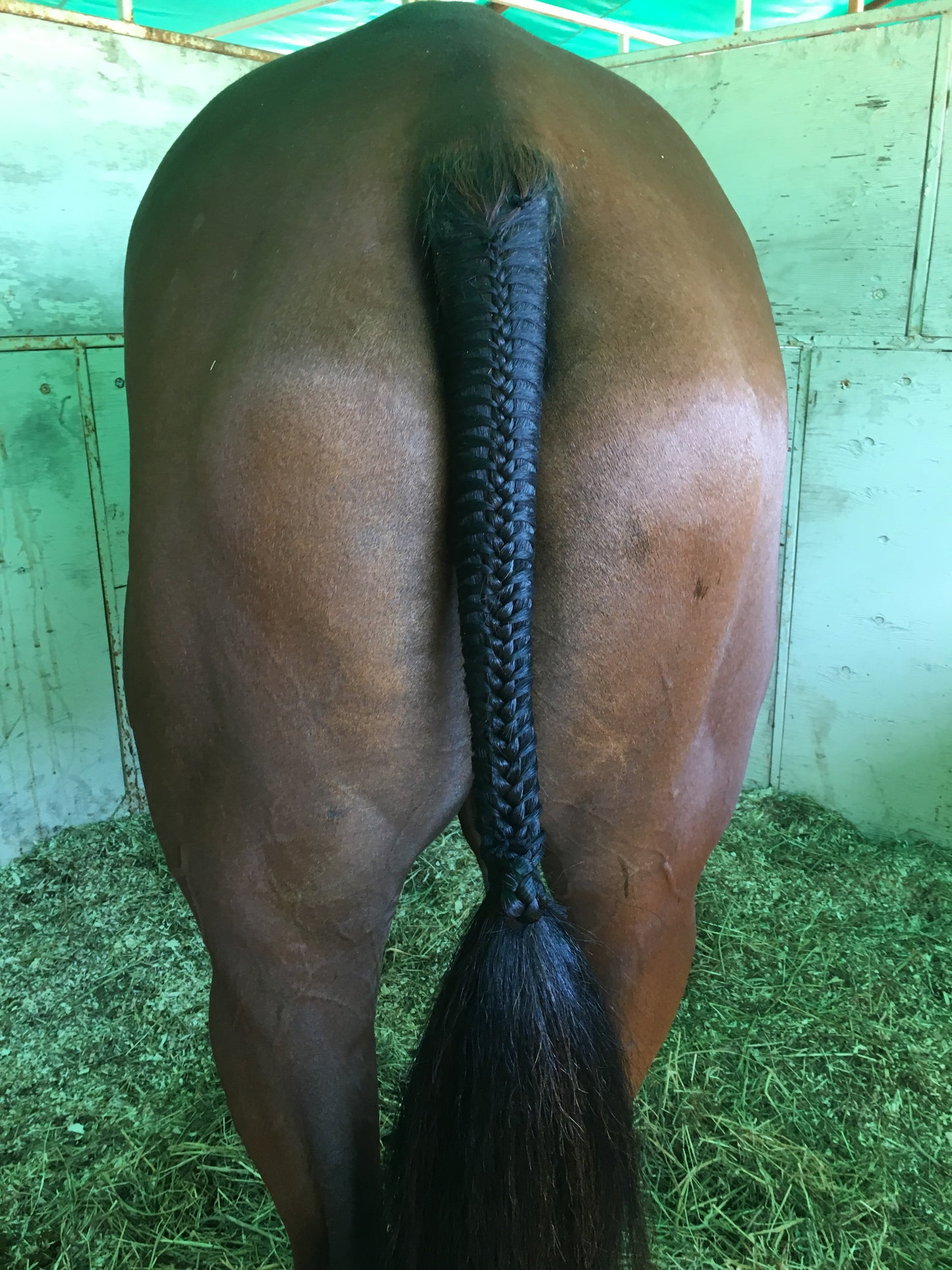 BRAIDING* Tutorials posted on the Facebook page: Katie’s Horse Care Supply (old), and Katie’s Horse Care Supply 2.0 (new). Instagram: Katie’s Horse Care Supply