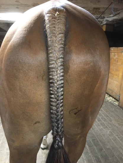 BRAIDING* Tutorials posted on the Facebook page: Katie’s Horse Care Supply (old), and Katie’s Horse Care Supply 2.0 (new). Instagram: Katie’s Horse Care Supply