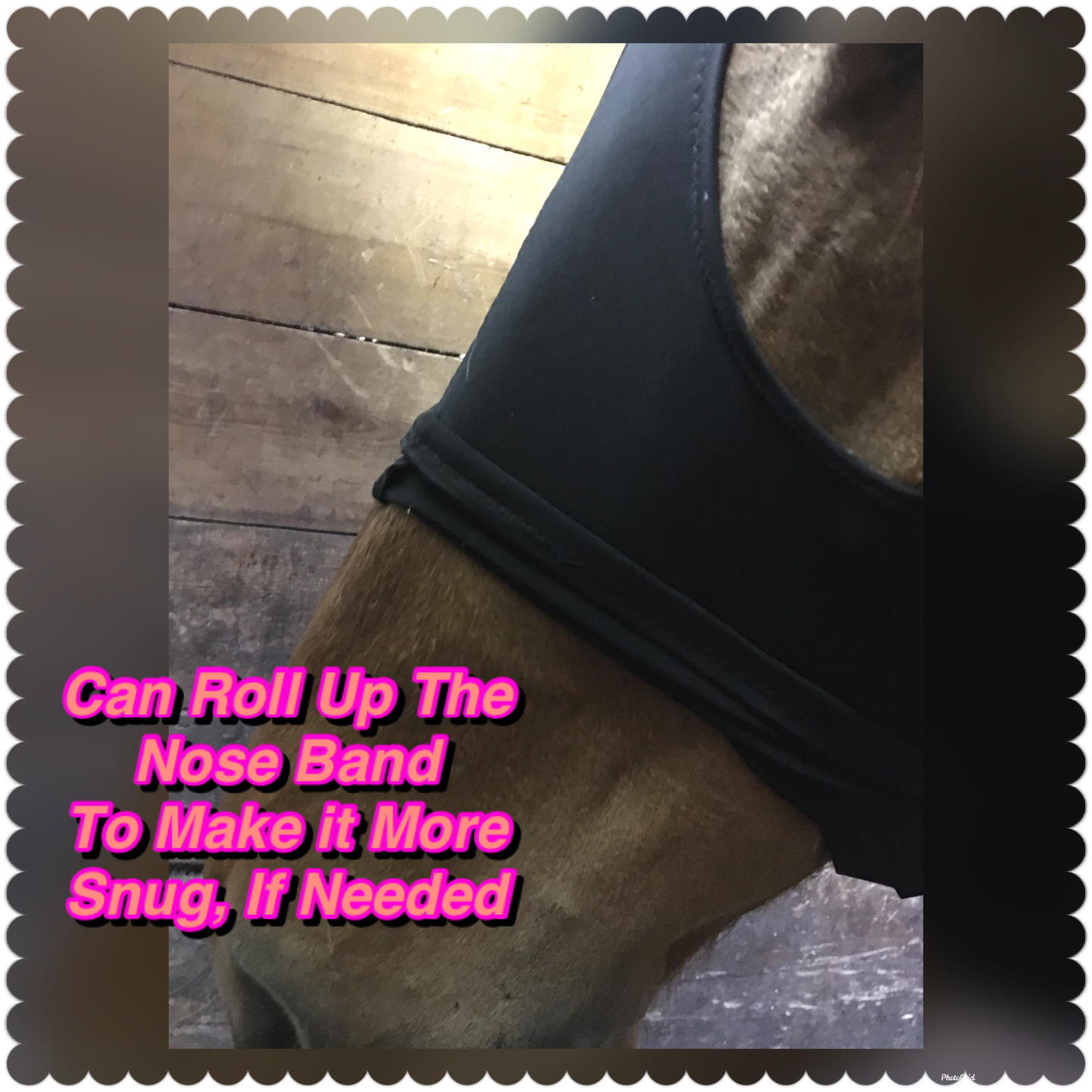LARGE PONY/SMALL HORSE SLINKY. FREE CHARM