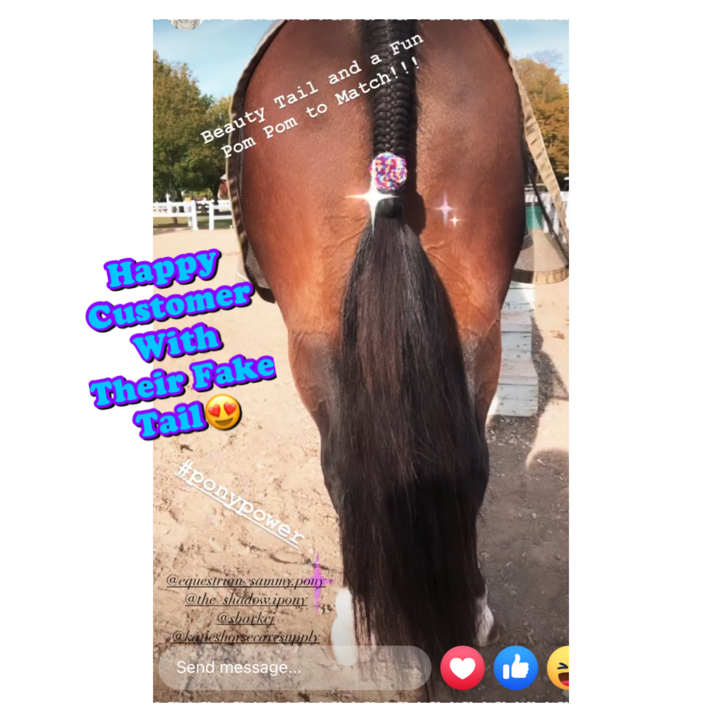 NATURAL LOOP FAKE TAILS. Real Horse Hair. Free Cover Bag, Pom Pom, Bridle Charm, Loop Charm. $99.99 - $550
