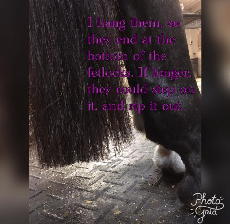 KNOB TOP Fake Tails 1/2 Pound. Real Horse Hair. Free Cover Bag, Pom Pom, Bridle Charm, Loop Charm. $99.99 - $125