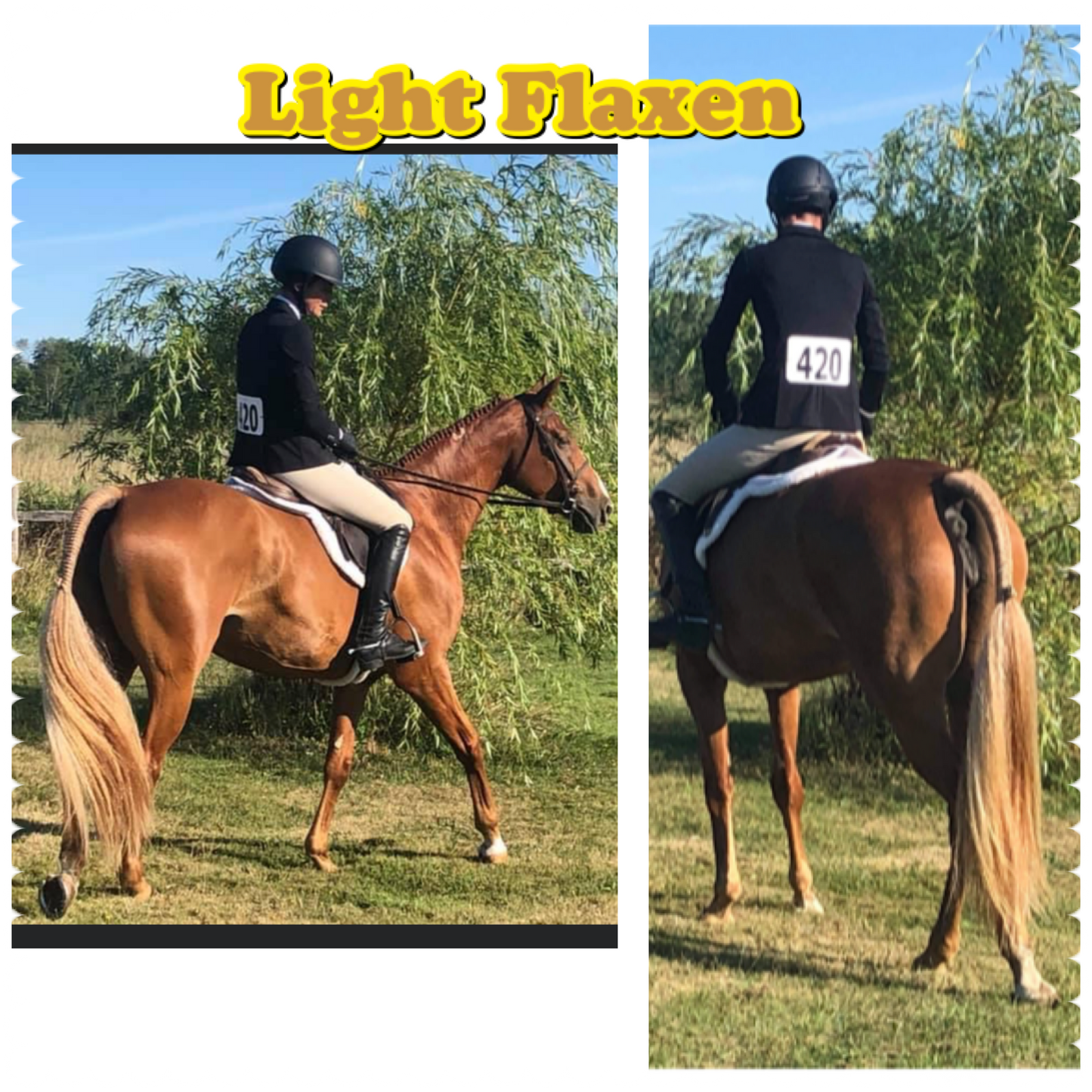 NATURAL LOOP FAKE TAILS. Real Horse Hair. Free Cover Bag, Pom Pom, Bridle Charm, Loop Charm. $99.99 - $550