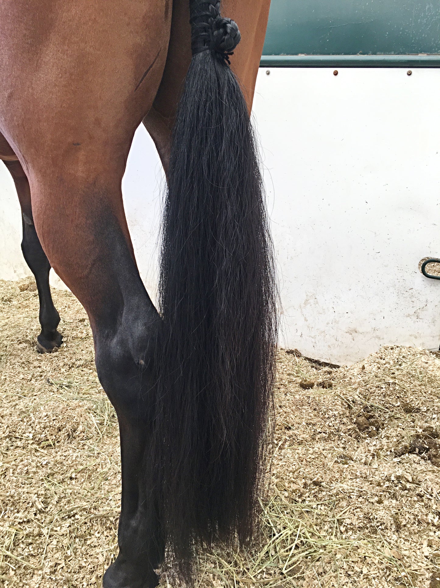 KNOB TOP Fake Tails 1/2 Pound. Real Horse Hair. Free Cover Bag, Pom Pom, Bridle Charm, Loop Charm. $99.99 - $125