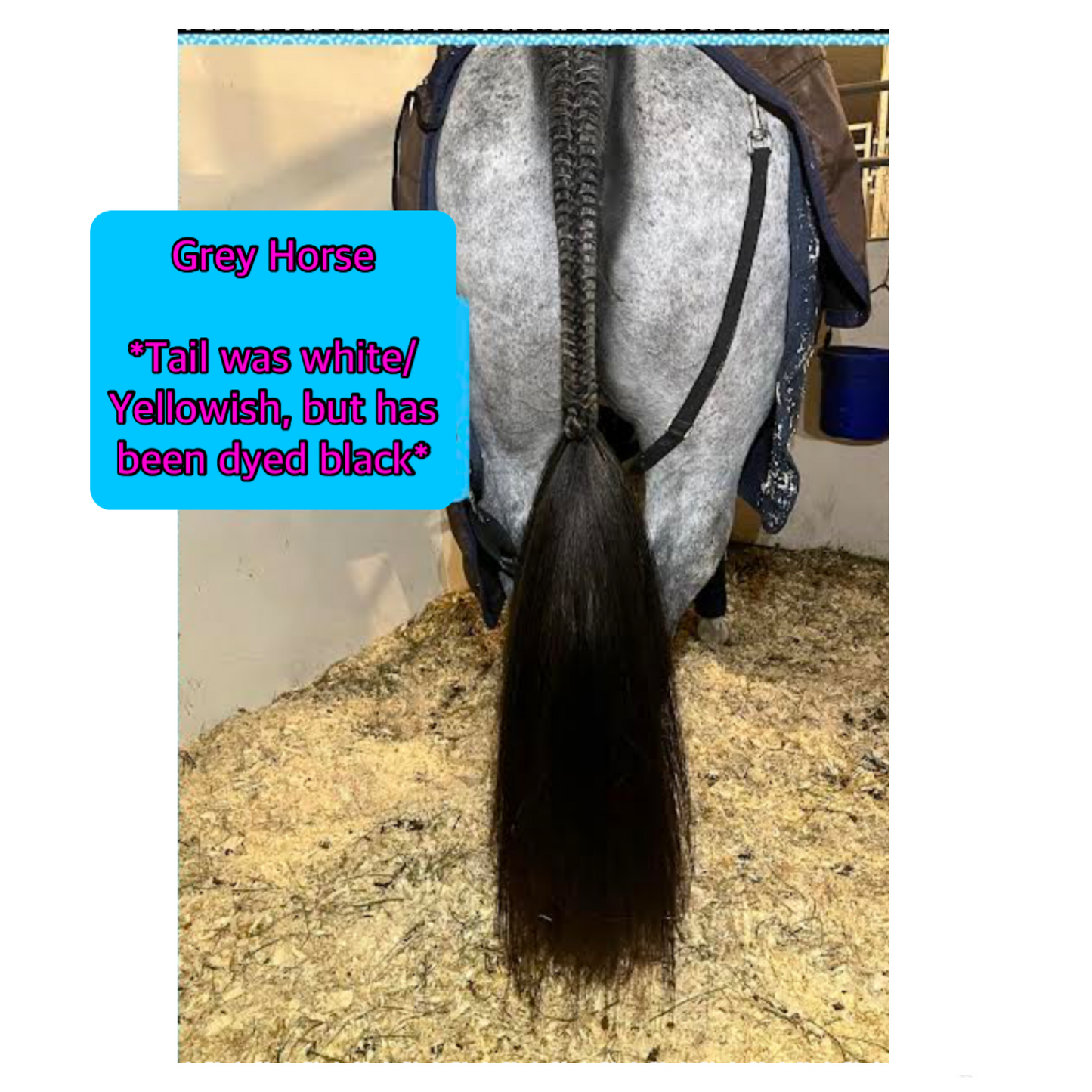 KNOB TOP Fake Tails 1/2 Pound. Real Horse Hair. Free Cover Bag, Pom Pom, Bridle Charm, Loop Charm. $99.99 - $125