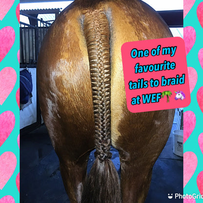 BRAIDING* Tutorials posted on the Facebook page: Katie’s Horse Care Supply (old), and Katie’s Horse Care Supply 2.0 (new). Instagram: Katie’s Horse Care Supply