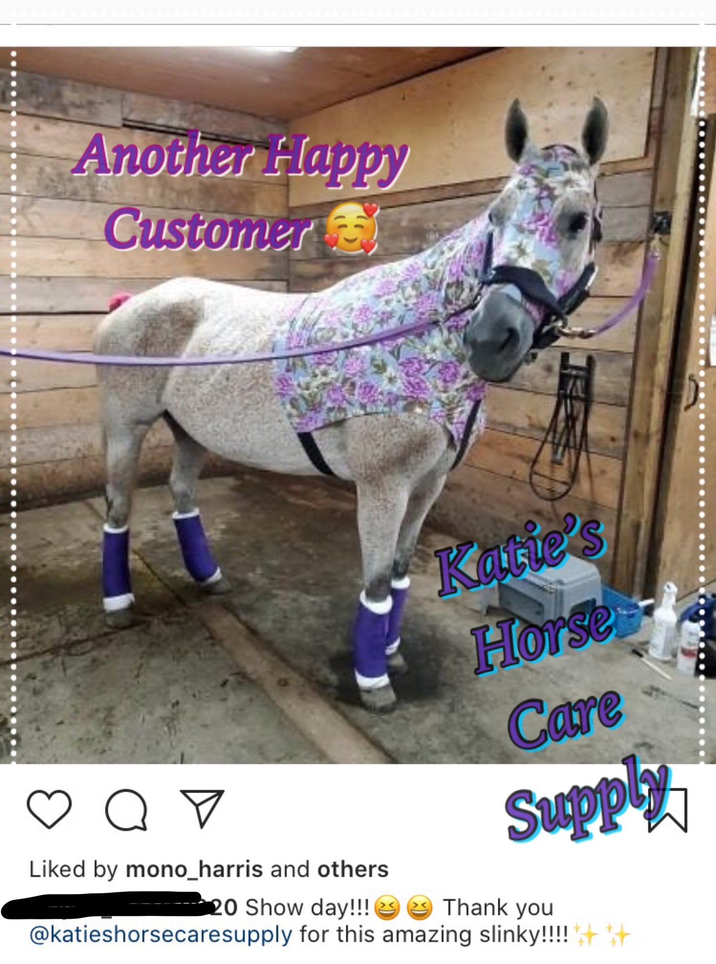 LARGE PONY/SMALL HORSE SLINKY. FREE CHARM