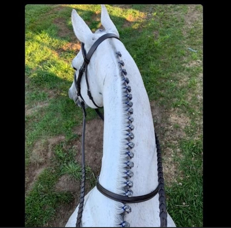 BRAIDING* Tutorials posted on the Facebook page: Katie’s Horse Care Supply (old), and Katie’s Horse Care Supply 2.0 (new). Instagram: Katie’s Horse Care Supply