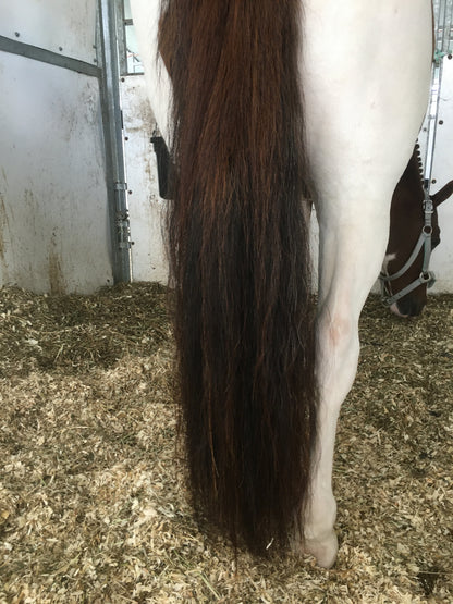 NATURAL LOOP FAKE TAILS. Real Horse Hair. Free Cover Bag, Pom Pom, Bridle Charm, Loop Charm. $99.99 - $550