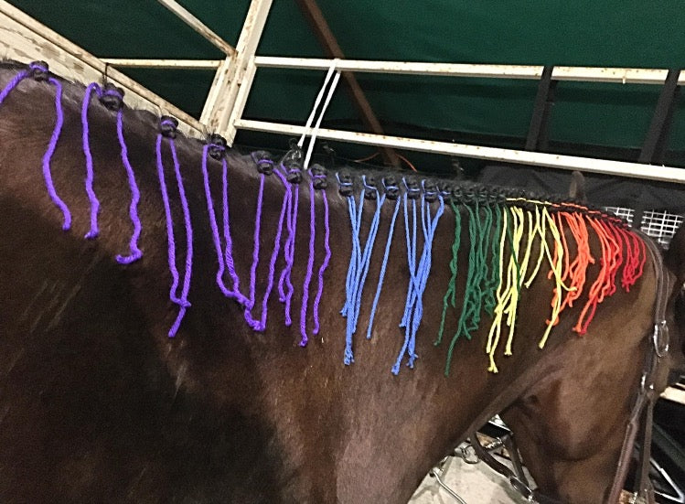 BRAIDING* Tutorials posted on the Facebook page: Katie’s Horse Care Supply (old), and Katie’s Horse Care Supply 2.0 (new). Instagram: Katie’s Horse Care Supply