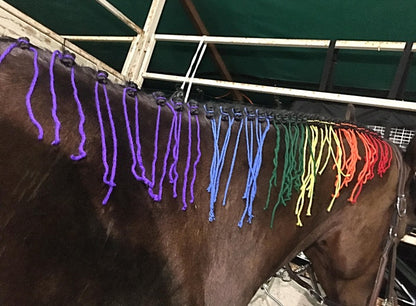 BRAIDING* Tutorials posted on the Facebook page: Katie’s Horse Care Supply (old), and Katie’s Horse Care Supply 2.0 (new). Instagram: Katie’s Horse Care Supply