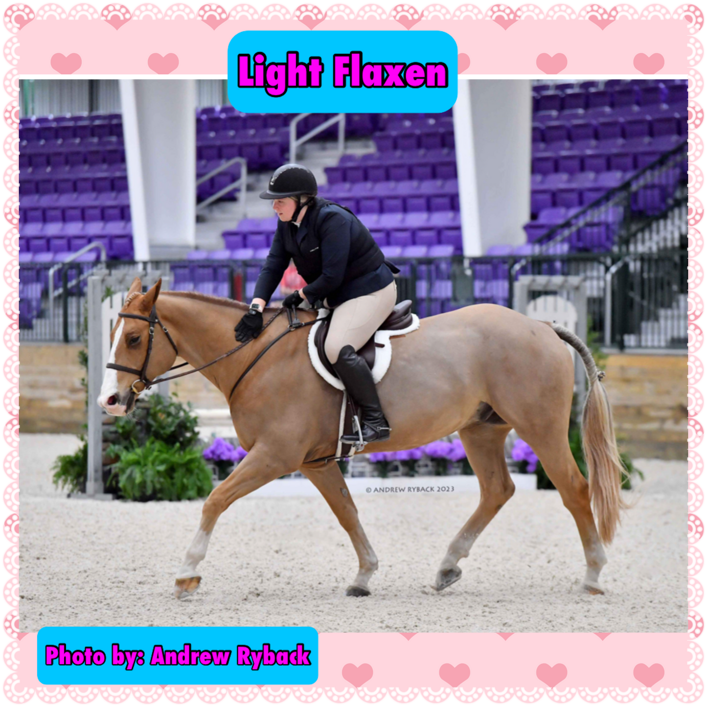NATURAL LOOP FAKE TAILS. Real Horse Hair. Free Cover Bag, Pom Pom, Bridle Charm, Loop Charm. $99.99 - $550