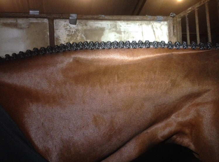 BRAIDING* Tutorials posted on the Facebook page: Katie’s Horse Care Supply (old), and Katie’s Horse Care Supply 2.0 (new). Instagram: Katie’s Horse Care Supply