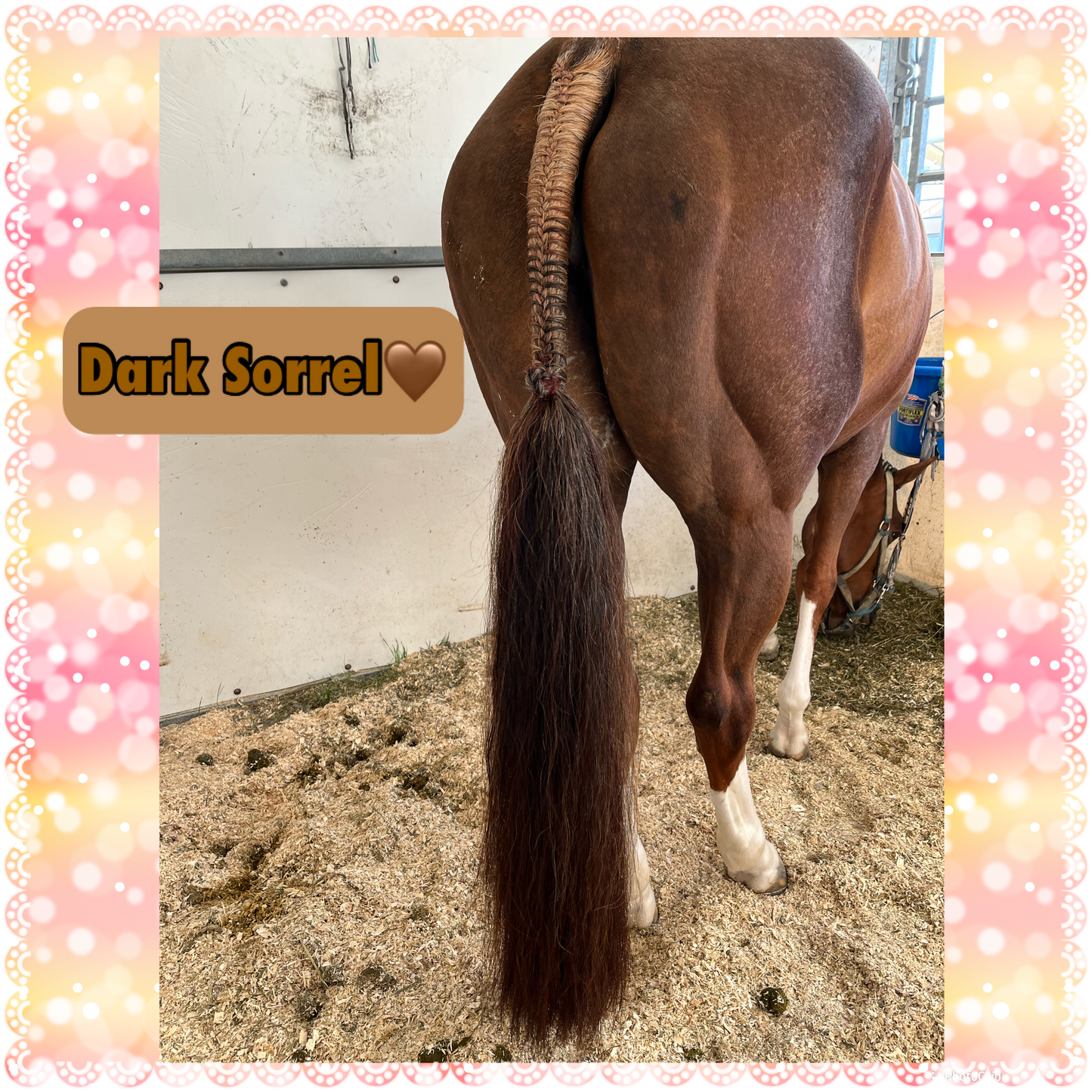 KNOB TOP Fake Tails 1/2 Pound. Real Horse Hair. Free Cover Bag, Pom Pom, Bridle Charm, Loop Charm. $99.99 - $125