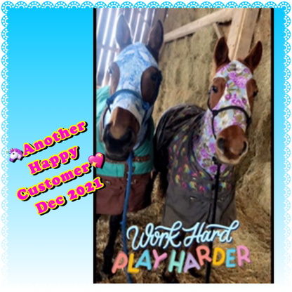 HORSE SIZE SLINKY. FREE CHARM