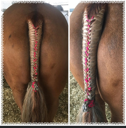 BRAIDING* Tutorials posted on the Facebook page: Katie’s Horse Care Supply (old), and Katie’s Horse Care Supply 2.0 (new). Instagram: Katie’s Horse Care Supply