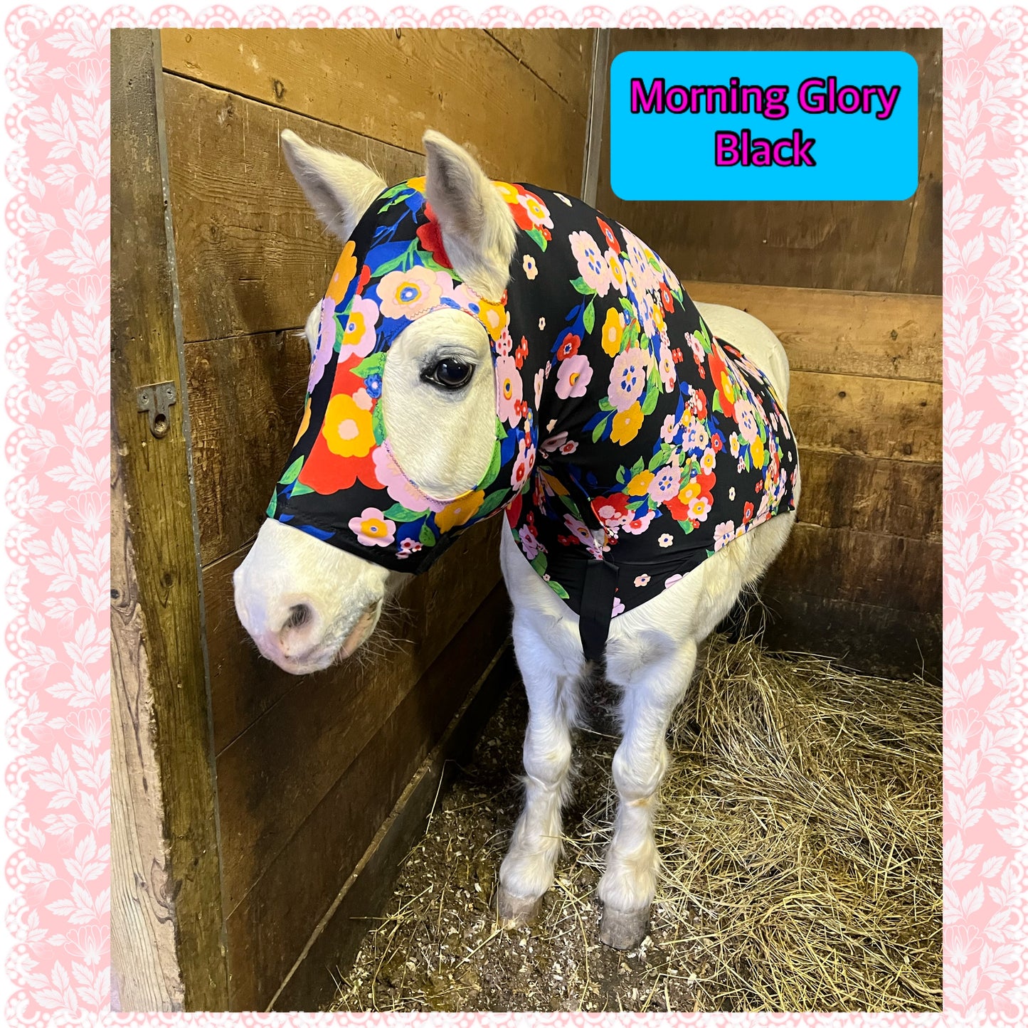 MEDIUM PONY SLINKY/SMALL-SIZED LARGE PONY. FREE CHARM