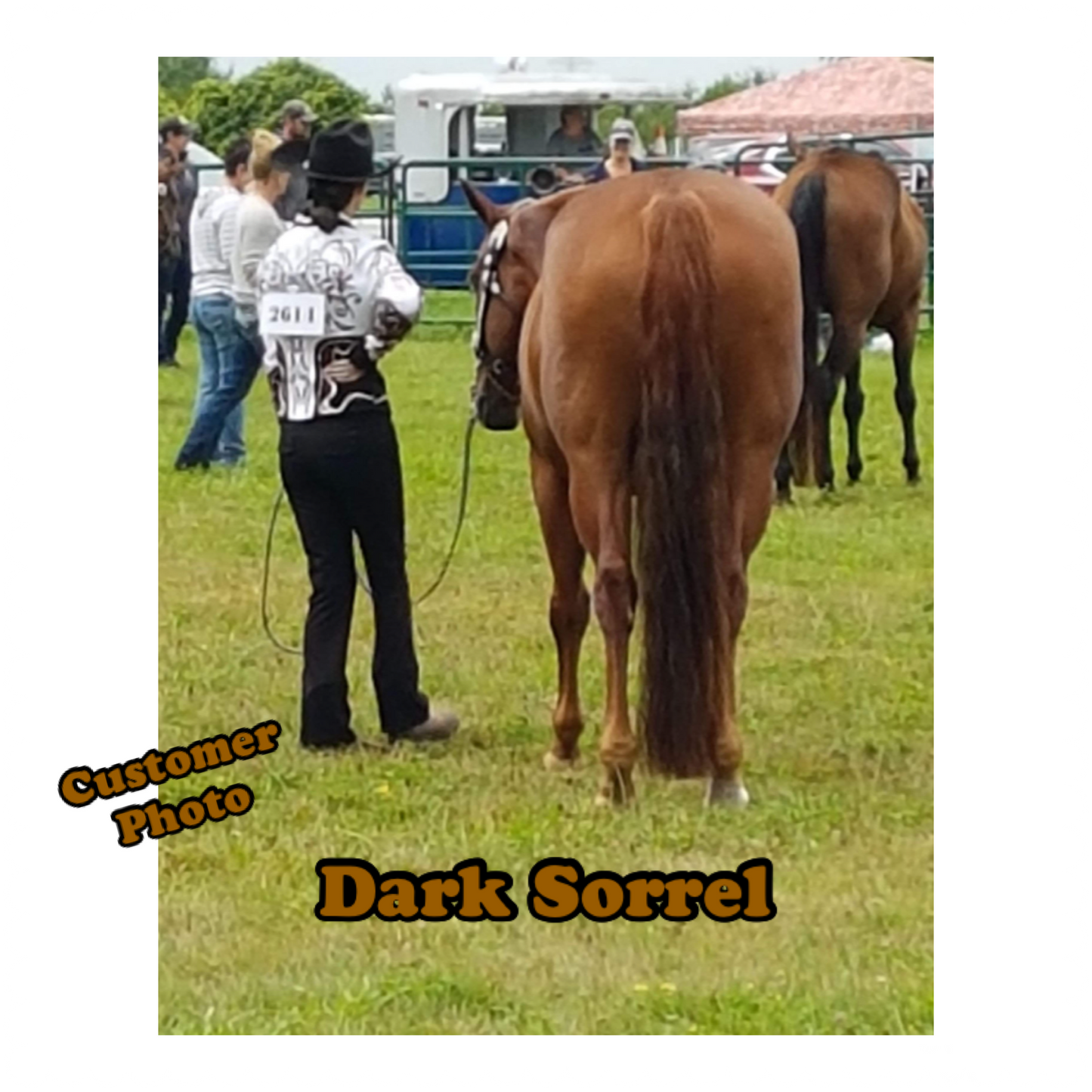 KNOB TOP Fake Tails 1 Pound. Real Horse Hair. Free Cover Bag, Pom Pom, Free Bridle Charm, Loop Charm. $180