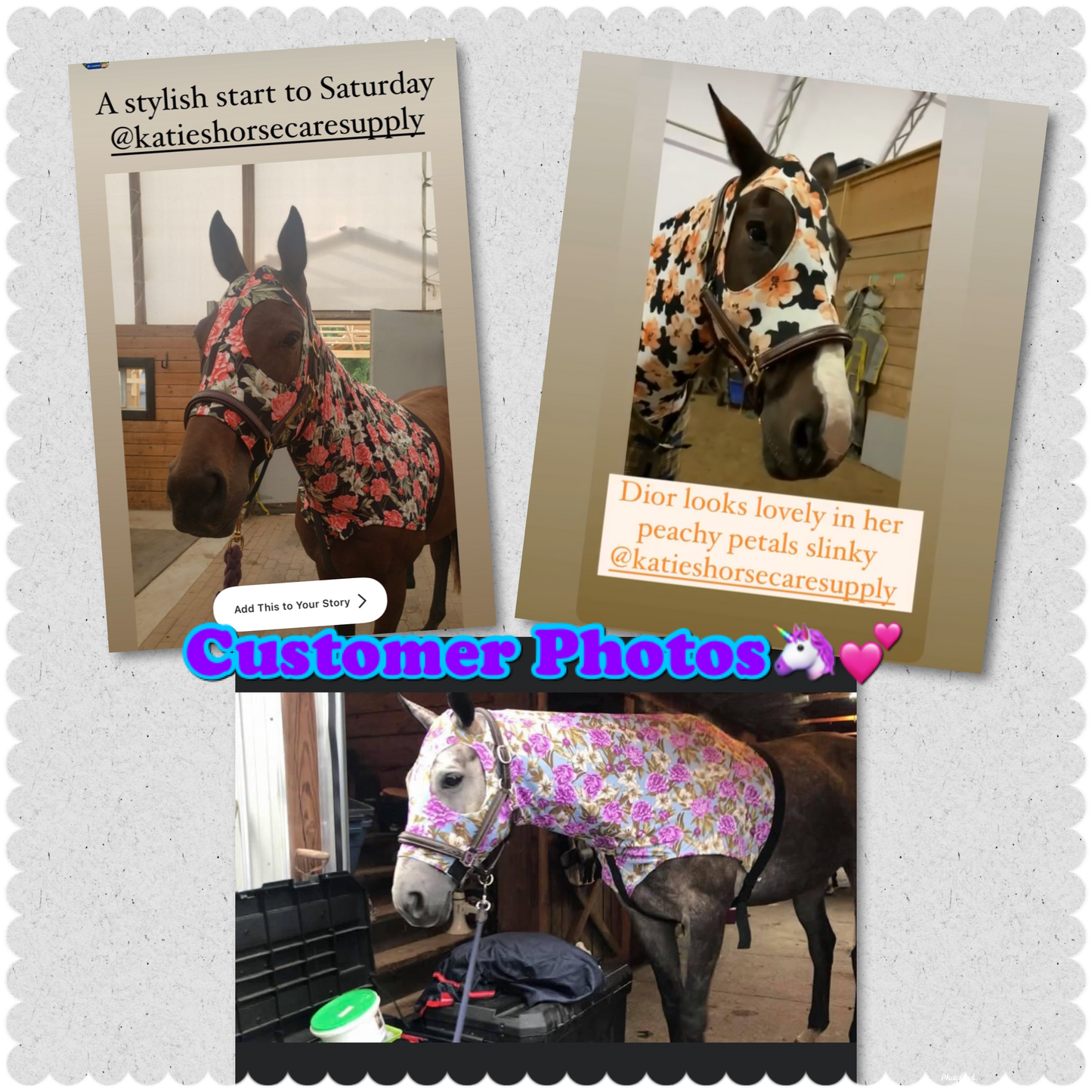 LARGE PONY/SMALL HORSE SLINKY. FREE CHARM