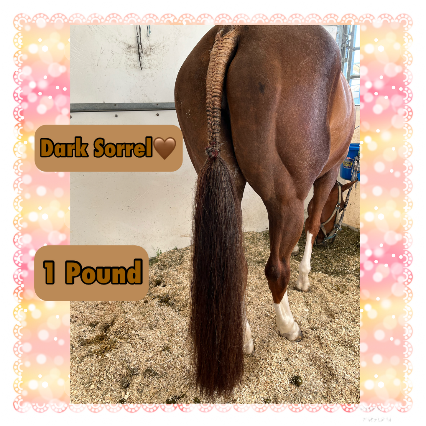 KNOB TOP Fake Tails 1 Pound. Real Horse Hair. Free Cover Bag, Pom Pom, Free Bridle Charm, Loop Charm. $180