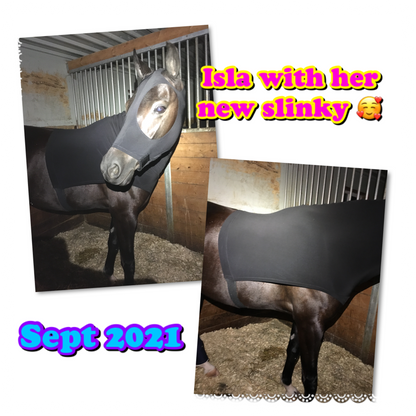 HORSE SIZE SLINKY. FREE CHARM