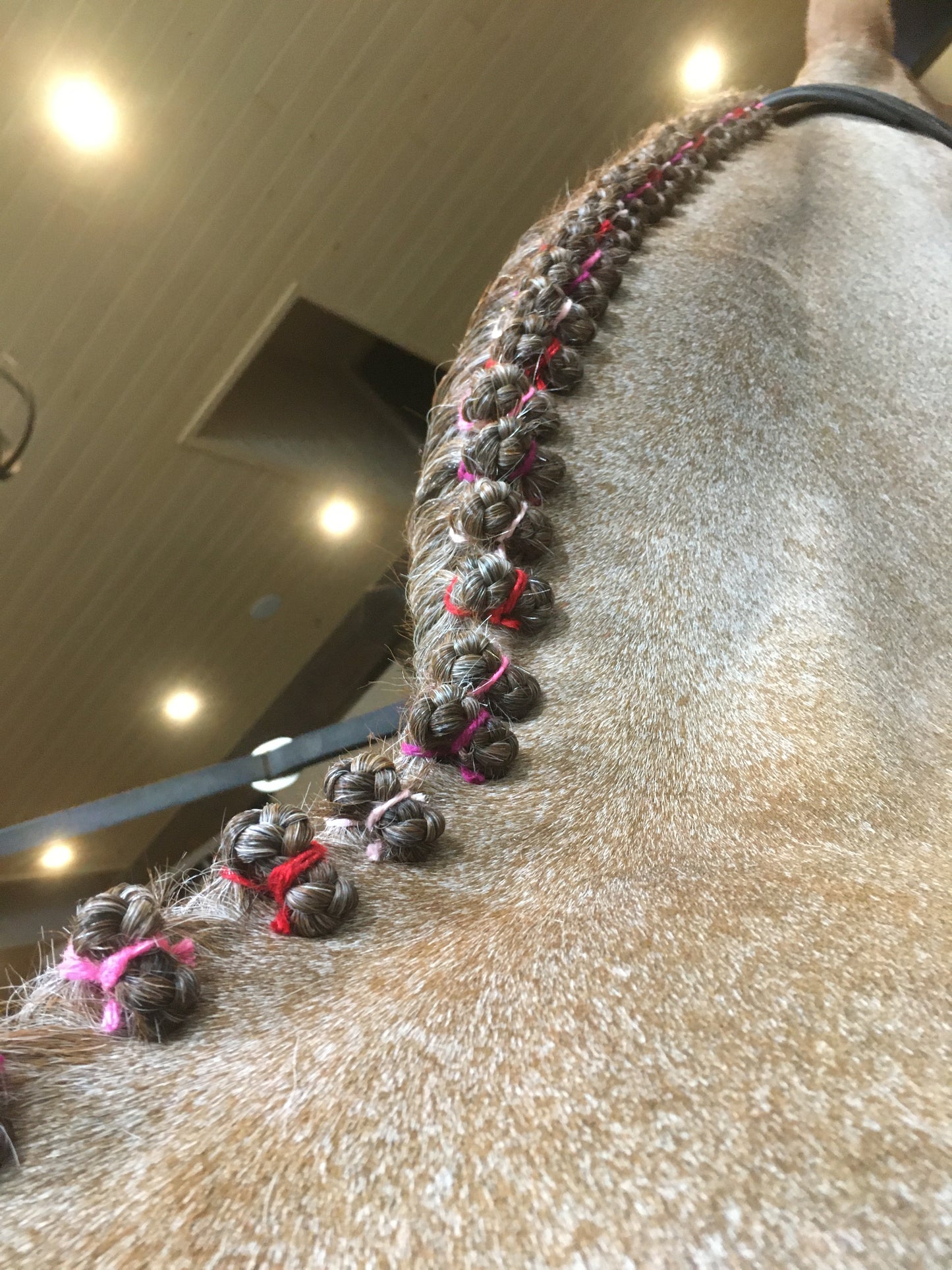 BRAIDING* Tutorials posted on the Facebook page: Katie’s Horse Care Supply (old), and Katie’s Horse Care Supply 2.0 (new). Instagram: Katie’s Horse Care Supply