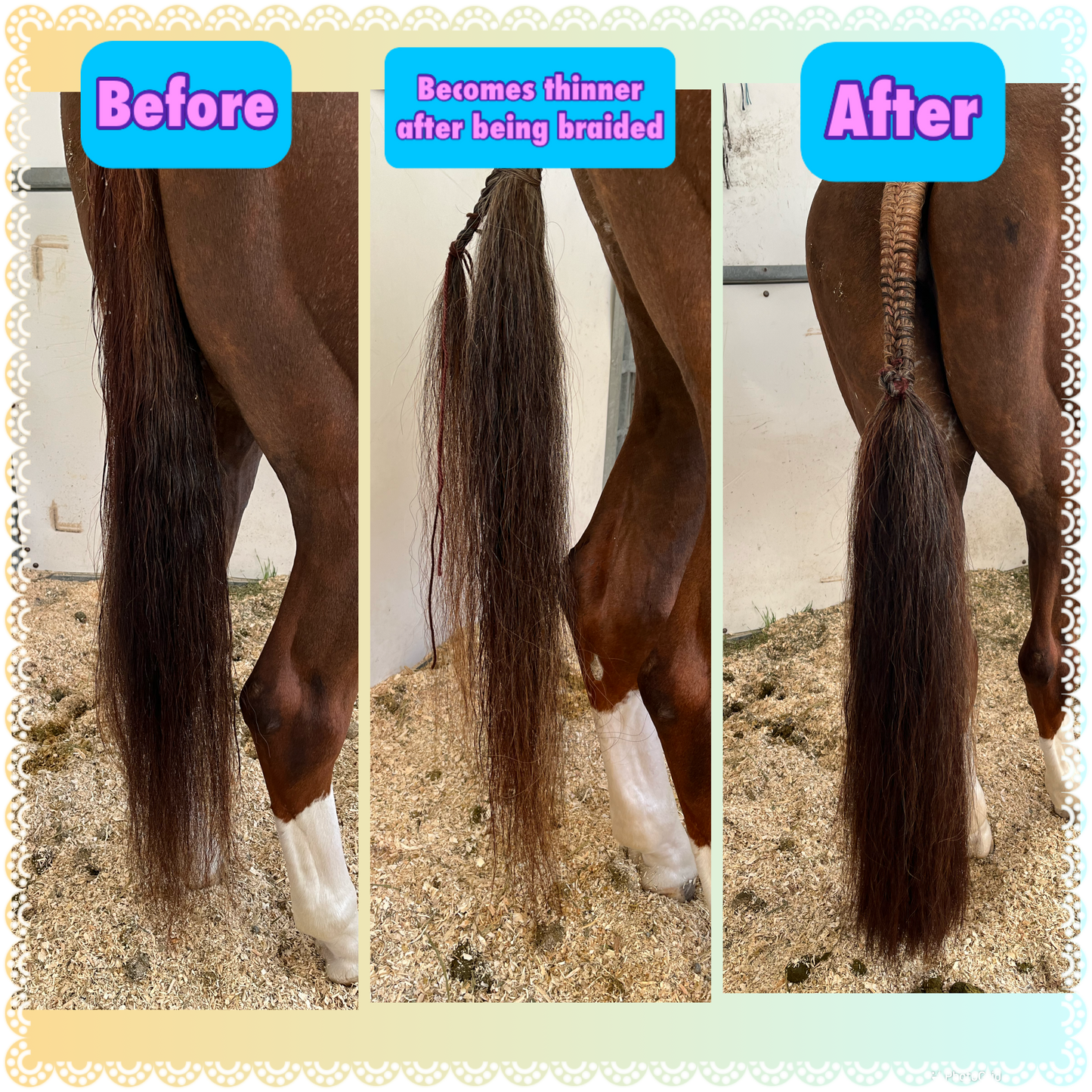 KNOB TOP Fake Tails 1/2 Pound. Real Horse Hair. Free Cover Bag, Pom Pom, Bridle Charm, Loop Charm. $99.99 - $125