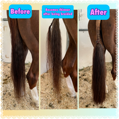 KNOB TOP Fake Tails 1/2 Pound. Real Horse Hair. Free Cover Bag, Pom Pom, Bridle Charm, Loop Charm. $99.99 - $125
