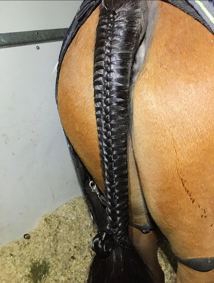 BRAIDING* Tutorials posted on the Facebook page: Katie’s Horse Care Supply (old), and Katie’s Horse Care Supply 2.0 (new). Instagram: Katie’s Horse Care Supply