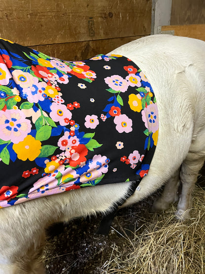 SMALL PONY SLINKY/SMALL-SIZED MEDIUM PONY. FREE CHARM