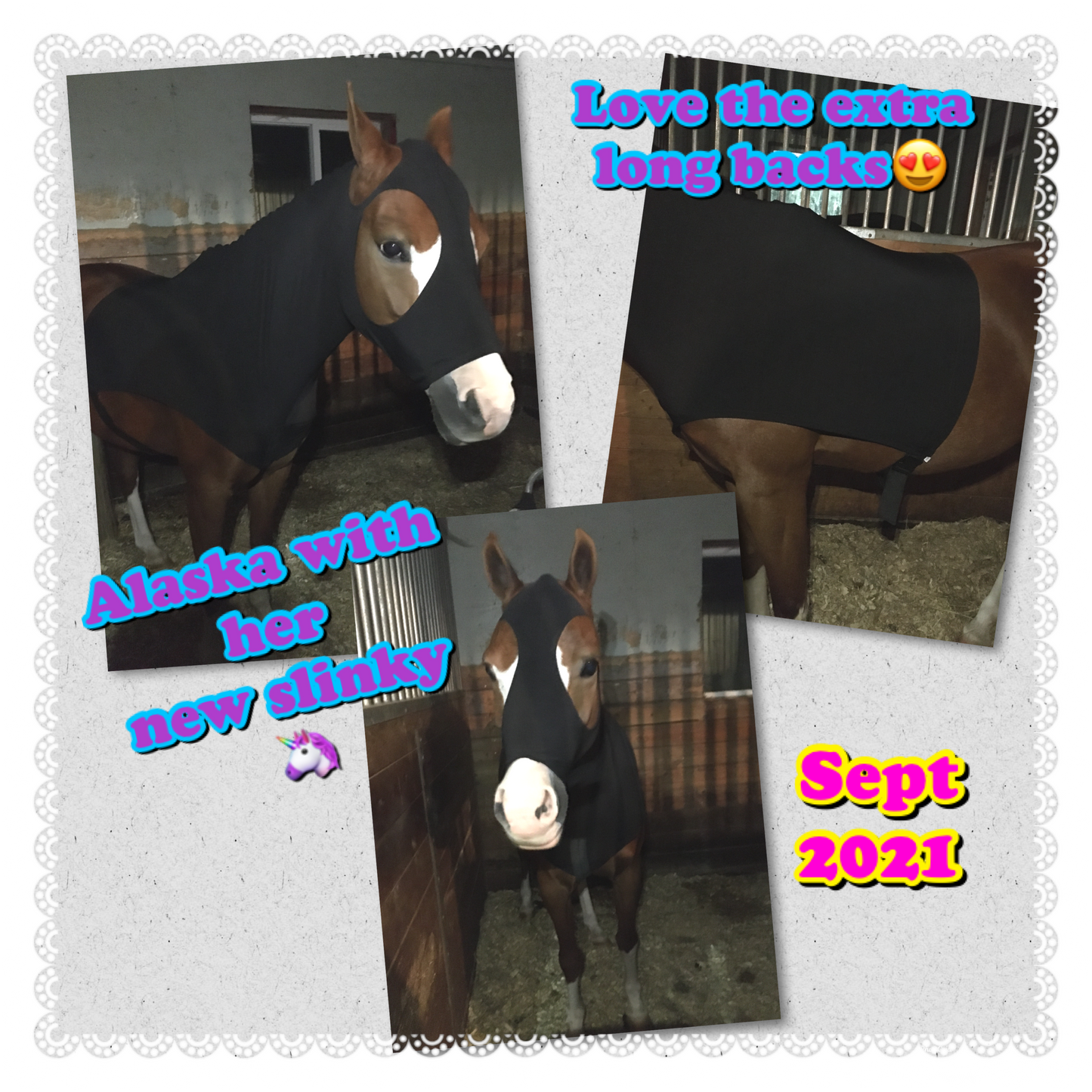 MEDIUM PONY SLINKY/SMALL-SIZED LARGE PONY. FREE CHARM
