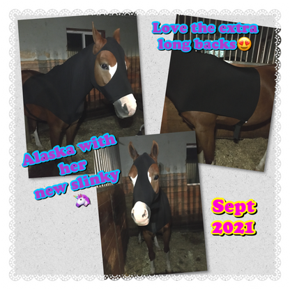 MEDIUM PONY SLINKY/SMALL-SIZED LARGE PONY. FREE CHARM