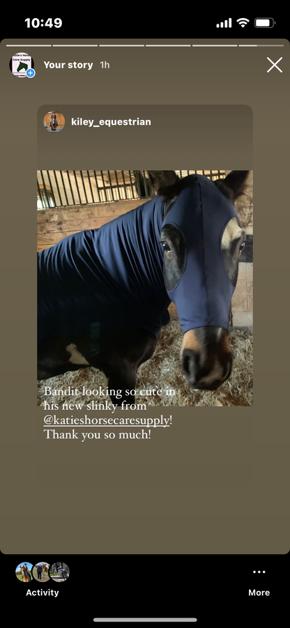 LARGE PONY/SMALL HORSE SLINKY. FREE CHARM